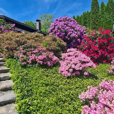 Ferienhaus Ferienhaus-zandt Zandt